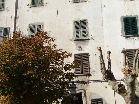 Corti Corti